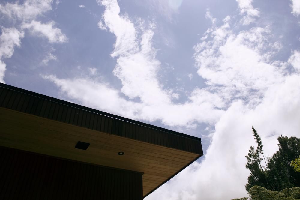 Villa Amongst The Nikau Waihi Exterior foto