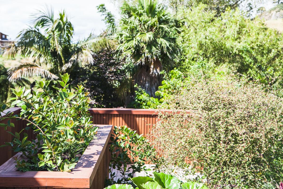 Villa Amongst The Nikau Waihi Exterior foto